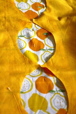 IMG_5635_5223 IMG_5635_5223