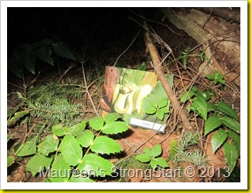 IMG_6603 IMG_6603