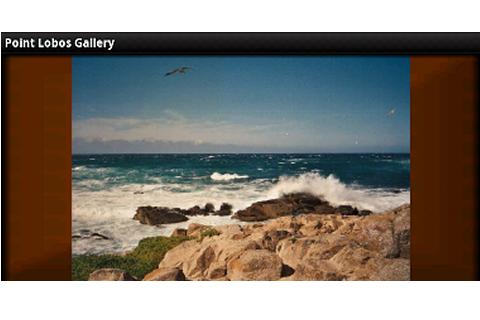 【免費攝影App】Point Lobos Gallery-APP點子