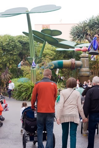 bugs land