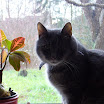 P1000244.jpg