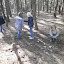 Kust in de natuur