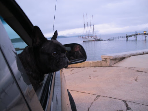 Will you look at that beautiful four-masted schooner here in Bar Harbor!