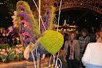 More fantastic topiaries