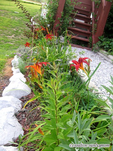 [IMG_0174%255B3%255D.jpg]