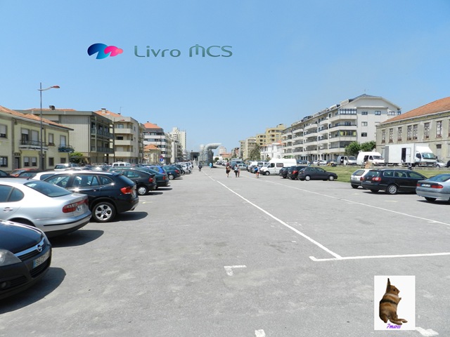 [Bolg%2520Gazeta%2520de%2520Espinho005%2520Livro%2520MCS%255B2%255D.jpg]