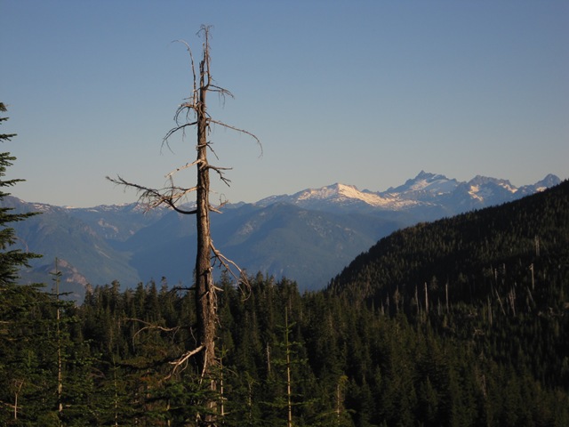 [IMG_5558%255B3%255D.jpg]