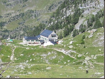 IMG_1126 IMG_1126