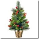 ppotted christmas tree