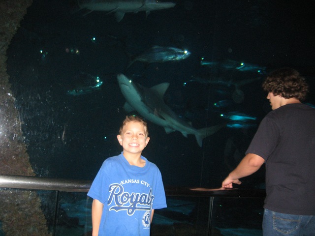 [IMG_1095%255B2%255D.jpg]