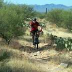 2007 Bike and Brats