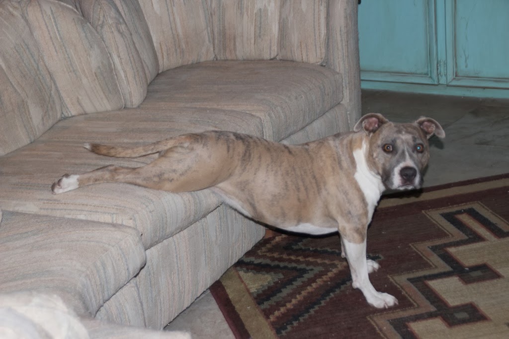 [IMG_1253%255B4%255D.jpg]