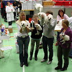 Vinder-G-kuldet-Billund-2008.jpg