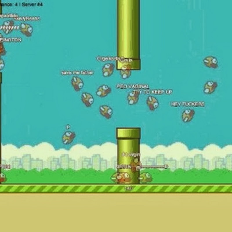 Das Flappy Bird MMO ist hypnotisierend