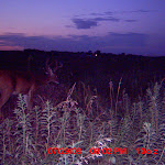 MDGC0391.JPG