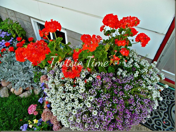 BeFunky_020.jpg BeFunky_020.jpg