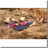 sleeping in hay