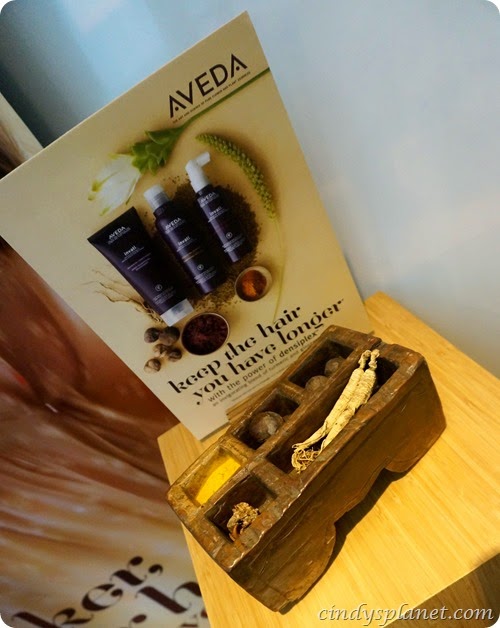 Aveda5 Aveda5