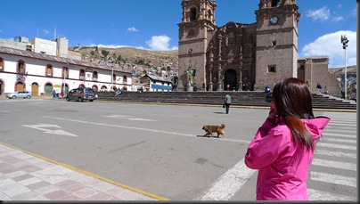 P1080365 P1080365