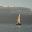 AIG_5920.JPG