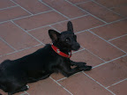 Immagine 015.jpg