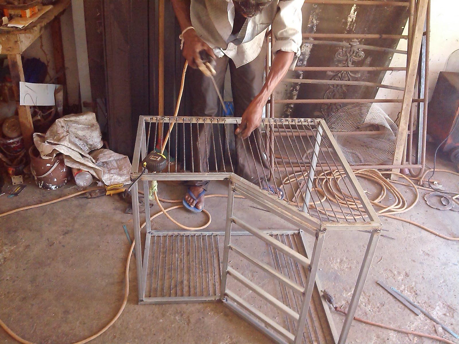 Sri Lanka Pigeons Pigeon Trap Door