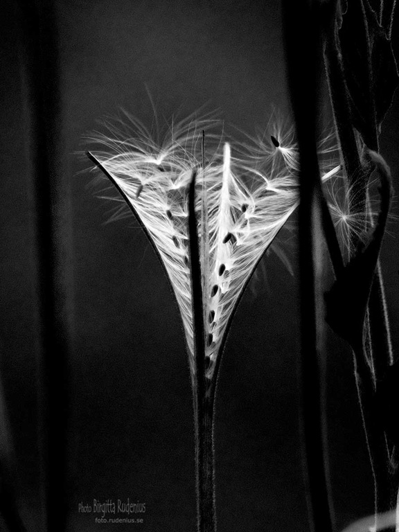 [bw_20110703_cocktail%255B2%255D.jpg]