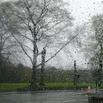 IMAG0050.jpg