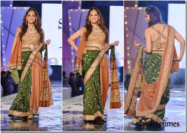 Shaina_NC_Sarees (8)