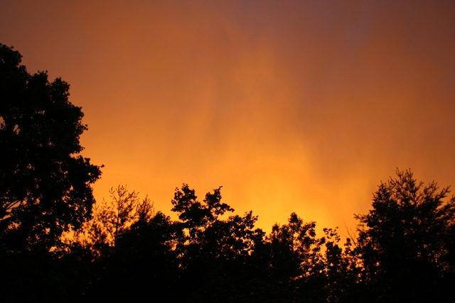 [IMG_8268%255B4%255D.jpg]