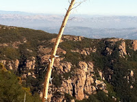 Sandstone Cliffs Photo