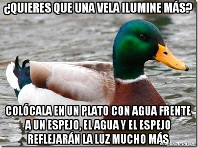 0 pato consejos cosasdivertidas info (10) 0 pato consejos cosasdivertidas info (10)