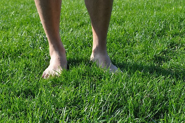 DSC_3762.JPG DSC_3762.JPG
