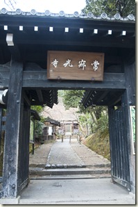 DSC_0363_1 DSC_0363_1