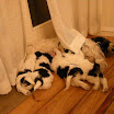 DSCN0169.JPG