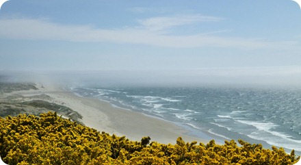 P1030900
