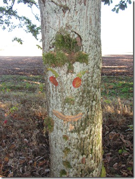 Baumgesicht Baumgesicht