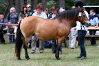 Hedi f 1992 e Inter u Silvia e Sverker