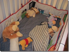 IMG_0444 (2) IMG_0444 (2)