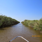 IMG_5661.JPG