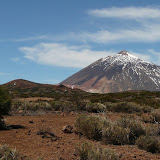 Tenerife - 2011-04