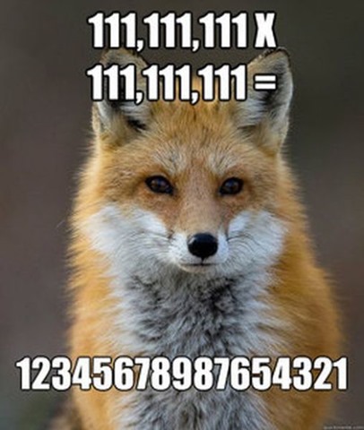 [fox-facts-meme-19%255B2%255D.jpg]