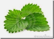 hoja fresa hoja fresa