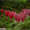 DSC01648.jpg