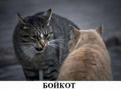 Бойкот