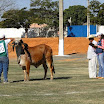 superleite2011_dia1507_125.JPG