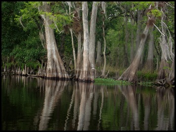 Paddle to Hontoon 110