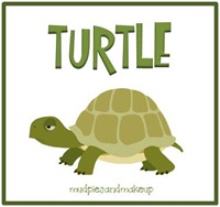 Turtle Box Turtle Box