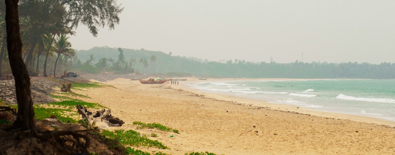 DSC_2038.jpg DSC 2038