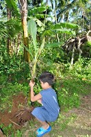 pinoyecofarm cleofe & ramos _0066.JPG